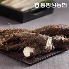 [KT알파쇼핑][동횡성농협] 강원도 더덕 800g (생더덕), 1개