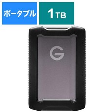 샌디스크프로페셔널