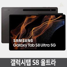 삼성전자 갤럭시탭 S8 Ultra SM-X900, 256GB, Wi-Fi+Cellular