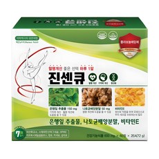 바른뉴트리 진센큐 은행잎추출물 나토키나제 토코페롤 영양제 혈행 기억력 개선에 도움, 60정, 2개 60정, 2개