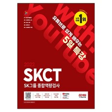 skct인적성