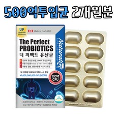 100억유산균 포스트바이오틱스 유산균 60캡슐 1개, 60정