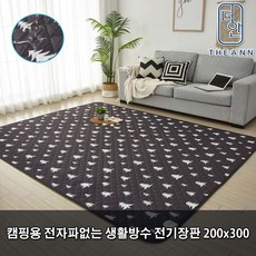 특대형전자파장판