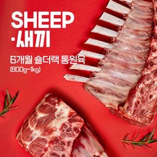 (당일발송)쉽새끼 뉴질랜드산 3개월 6개월 숄더랙 프렌치랙 양갈비 통원육 800g-1.1kg + 소스4종무료(냉동)