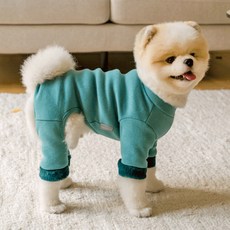 솔티핫티