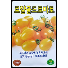 황금토마토