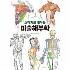 스케치로배우는미술해부학