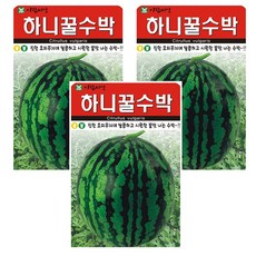 하니 꿀 수박 씨앗 3개입, 3개