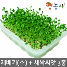 1d6ef6a6c89df5e781afb63a2dba4b3f991c520e3267e3c7c8f0fb193ab7.png