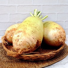 반여농산물강원도초롱무우