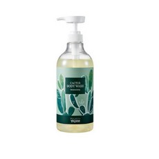 야다 선인장 바디워시, 1000ml, 2개