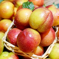 oppobdphcdz교체리모컨단일옵션