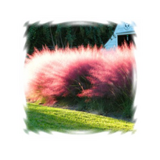 f4cec1e191b52a547d6e341221537c7e889bddc85b18057c9d7ca6fabdd0.png