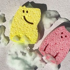 셀룰로스목욕스폰지