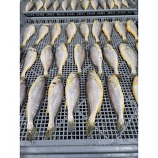 국내산 반건조 참조기, 102~120g 22~23cm품절