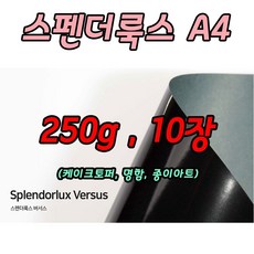스펜더룩스