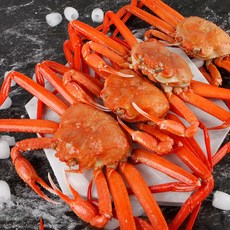 후포항 붉은대게 홍게 4-6마리 수율 80% 이상 울진홍게, 1개