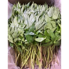 [산지직송 / 빠른배송] 국내산 싱싱하고 향긋한 당귀잎 생당귀 특수야채, 1박스, 1kg