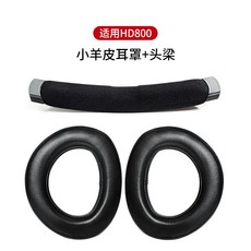 hd800s