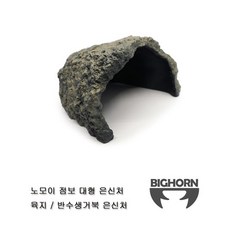 육지거북 (파충류)노모이 점보 대형 은신처, 1개