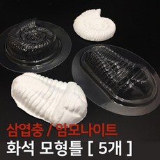 삼엽충