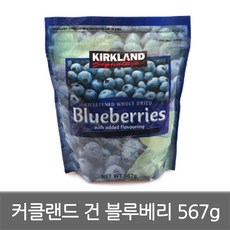 코스트코건블루베리
