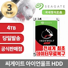 [공식판매점] 씨게이트 아이언울프 NAS용 HDD 하드디스크 4TB ST4000VN006 - st4000vn006