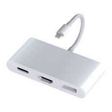 샌디스크 USB 메모리 iXpand Flip 아이폰 아이패드 전용 OTG 8핀 USB3.1 IX90N 256GB, 256기가