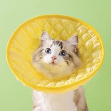 하루바나 강아지 고양이 목 안아픈 천 넥카라 깔대기 쿠션, 1개, 레몬 옐로우