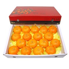 삼다몰 [삼다몰]제주 레드향(왕특대) 5kg(10~16과), 단품없음