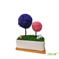 그 린나래 천연이끼 공기정화 모스트리