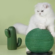 더블동글이 스크래쳐 고양이용, 1개