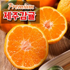 제주천혜향선물세트2호