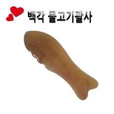 피지오나뚜라