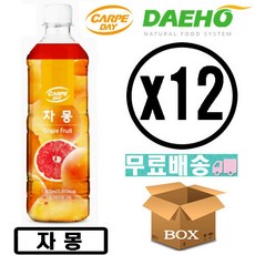 까르페데이 과일음료 베이스/대호액상 1000ml(12개 1박스), 1L, 12개
