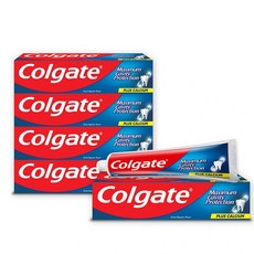 [코스트코 무료배송] COLGATE 콜게이트 그레이트 레귤러 치약, 250g, 4개