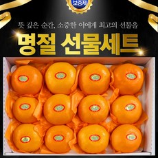 VIP백화점용 천혜향 고급 선물셋트 3kg, 1개