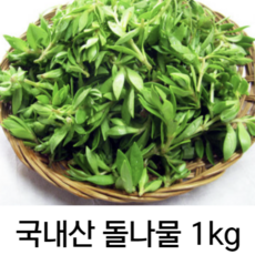 돌나물무침 추천 1등 제품