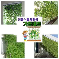 맹글