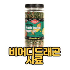 비어디드래곤