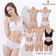 로베르타디까메리노인견