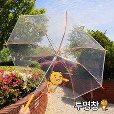 카카오장우산-추천-상품