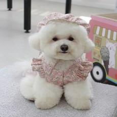 꽃프릴레이스보넷