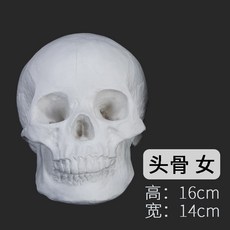뎃생석고