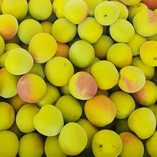 참다올 착한농부 신선배송 광양 홍매실 10kg 대, 1개