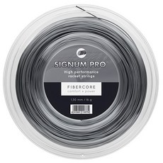 시그넘프로파이어스톰