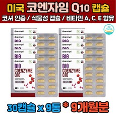 에이플러스코큐텐