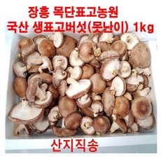 //상품명
