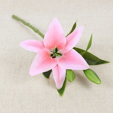 가렌꽃