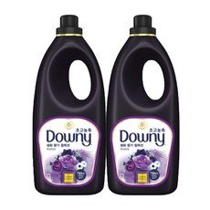 다우니미스티크